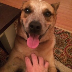 Meet your Posher, Lynn